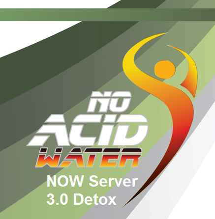 server 3.0 detox brochure